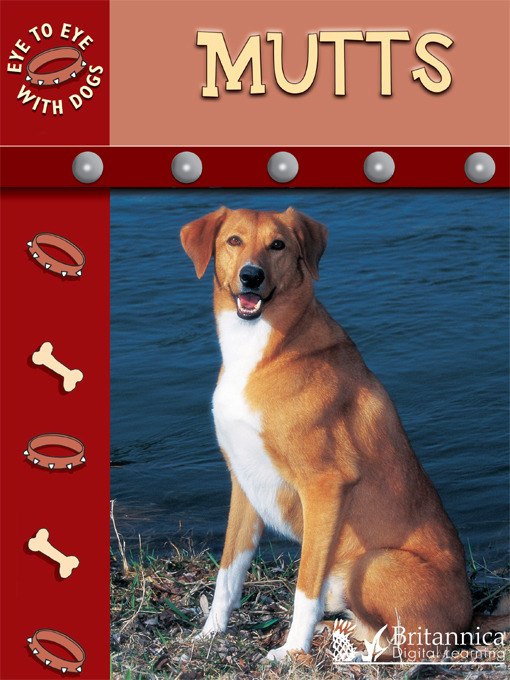 Title details for Mutts by Lynn M. Stone - Available